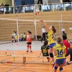 5. Runde der Landesmeisterschaft U12 weiblich