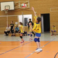 5. Runde der Landesmeisterschaft U12 männlich