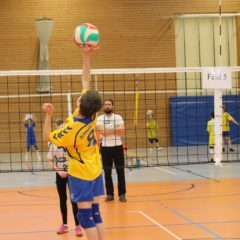 5. Runde der Landesmeisterschaft U12 männlich