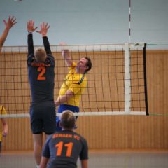 Schmalkalder VV (Herren I) : Geraer Volleyballclub