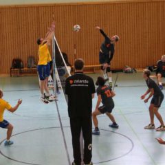 Schmalkalder VV (Herren I) : Geraer Volleyballclub