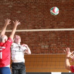 SV Concordia Erfurt I : Schmalkalder VV (Herren II)