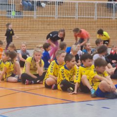 Trainingstag der U12 weiblich in Erfurt