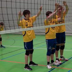 Volleyballverein 70 Meiningen : Schmalkalder VV (Herren III) in Meiningen