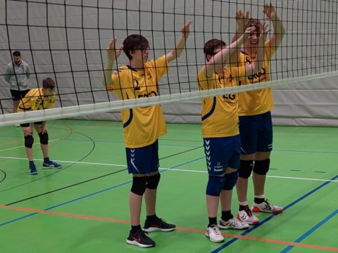 Volleyballverein 70 Meiningen : Schmalkalder VV (Herren III) in Meiningen