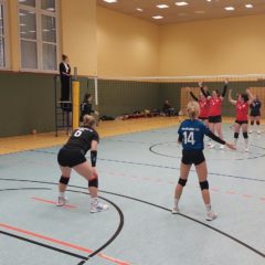 Schmalkalder VV (Damen I) : VC Gotha I