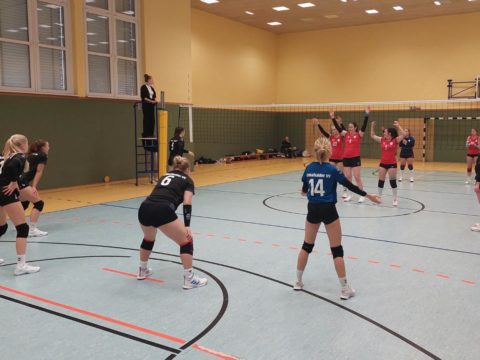 Schmalkalder VV (Damen I) : VC Gotha I