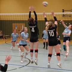 VfB 91 Suhl III : Schmalkalder VV (Damen I)