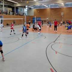 Sichtungstraining U14 weiblich in Erfurt