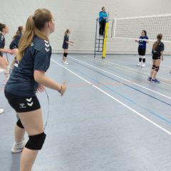 SG Blau Weiß Schwallungen : Schmalkalder VV (Damen III)