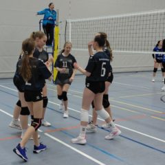 SG Blau Weiß Schwallungen : Schmalkalder VV (Damen III)