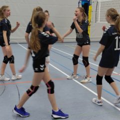 SG Blau Weiß Schwallungen : Schmalkalder VV (Damen III)