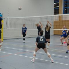 SG Blau Weiß Schwallungen : Schmalkalder VV (Damen III)