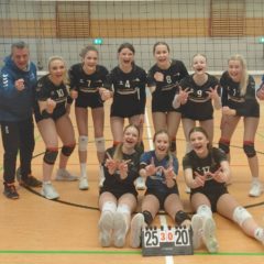 SV 08 Steinach : Schmalkalder VV (Damen I)