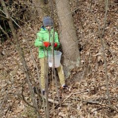 Frühjahrsputz der Stadt Schmalkalden