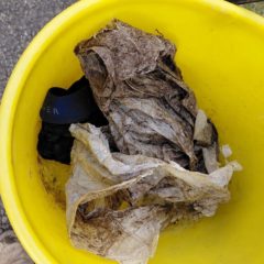 Frühjahrsputz der Stadt Schmalkalden