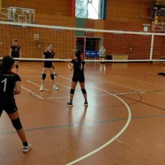 Trainingsturnier der U14 weiblich in Neuhaus am Rennweg
