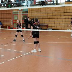 Trainingsturnier der U14 weiblich in Neuhaus am Rennweg