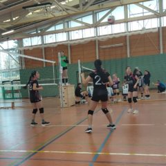 Trainingsturnier der U14 weiblich in Neuhaus am Rennweg