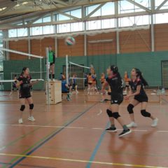 Trainingsturnier der U14 weiblich in Neuhaus am Rennweg