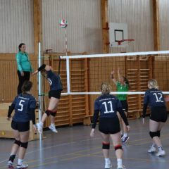 SV Grün-Weiß Wasungen : Schmalkalder VV (Damen I)