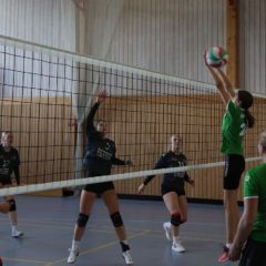 SV Grün-Weiß Wasungen : Schmalkalder VV (Damen I)