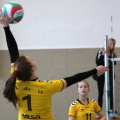 Finale der Landesmeisterschaft U14 weiblich