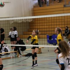 Finale der Landesmeisterschaft U14 weiblich