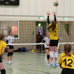 Finale der Landesmeisterschaft U14 weiblich