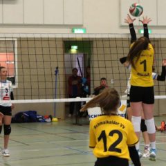 Finale der Landesmeisterschaft U14 weiblich