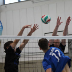 Schmalkalder VV (Herren I) : Blue Volleys Juniors Gotha