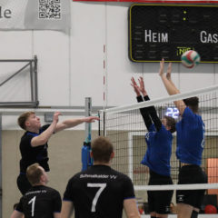 Schmalkalder VV (Herren I) : Blue Volleys Juniors Gotha