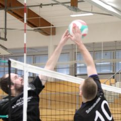 Schmalkalder VV (Herren I) : 1.TSV Bad Salzungen