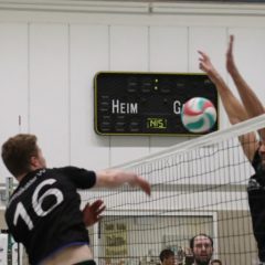 Schmalkalder VV (Herren I) : 1.TSV Bad Salzungen