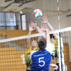 Schmalkalder VV (Herren I) : SVC Nordhausen