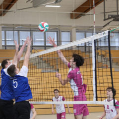 Schmalkalder VV (Herren I) : Erfurter VC