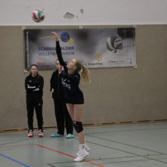 Schmalkalder VV (Damen I) : SV Stahl Unterwellenborn