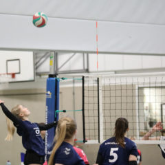 Schmalkalder VV (Damen I) : SV Stahl Unterwellenborn