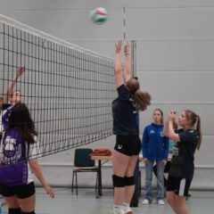 Schmalibus : Schmalkalder VV (Damen III)