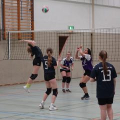 Schmalibus : Schmalkalder VV (Damen III)