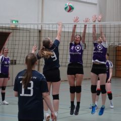 Schmalibus : Schmalkalder VV (Damen III)