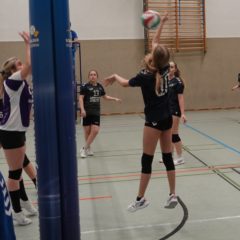 Schmalibus : Schmalkalder VV (Damen III)