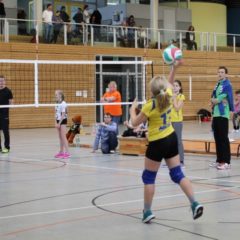 2. Runde der Landesmeisterschaft U13 weiblich