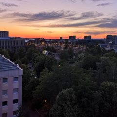 Regionalmeisterschaft U13 männlich in Dresden