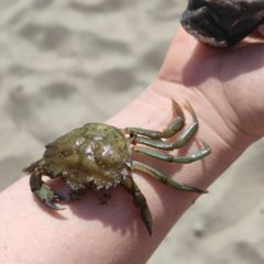 Ferienfreizeit an der Ostsee