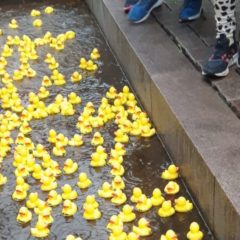 Entchenrennen zum Schmalkalder Stadtfest