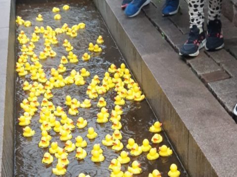 Entchenrennen zum Schmalkalder Stadtfest