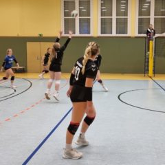 VfB 91 Suhl III : Schmalkalder VV (Damen I)