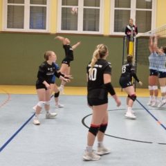 VfB 91 Suhl III : Schmalkalder VV (Damen I)