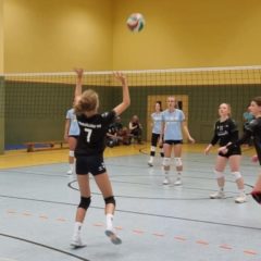 VfB 91 Suhl III : Schmalkalder VV (Damen I)